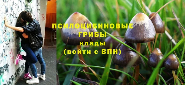 эйфоретик Баксан