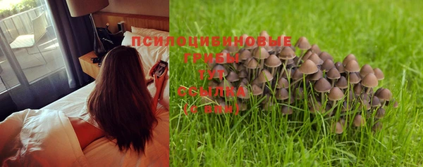 мяу мяу кристалл Балахна