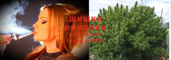 эйфоретик Баксан