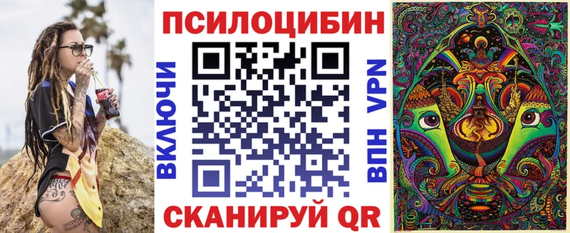 Псилоцибиновые грибы Psilocybe  гидра ТОР  Гаврилов-Ям 